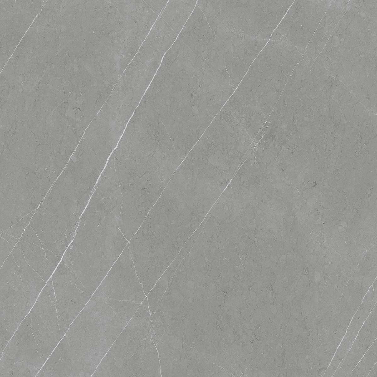 Frost Grey 1200x1200mm Matt Porcelain Tiles