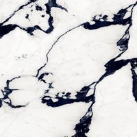 Black Martin 1200x1200mm High Glossy Porcelain Tiles