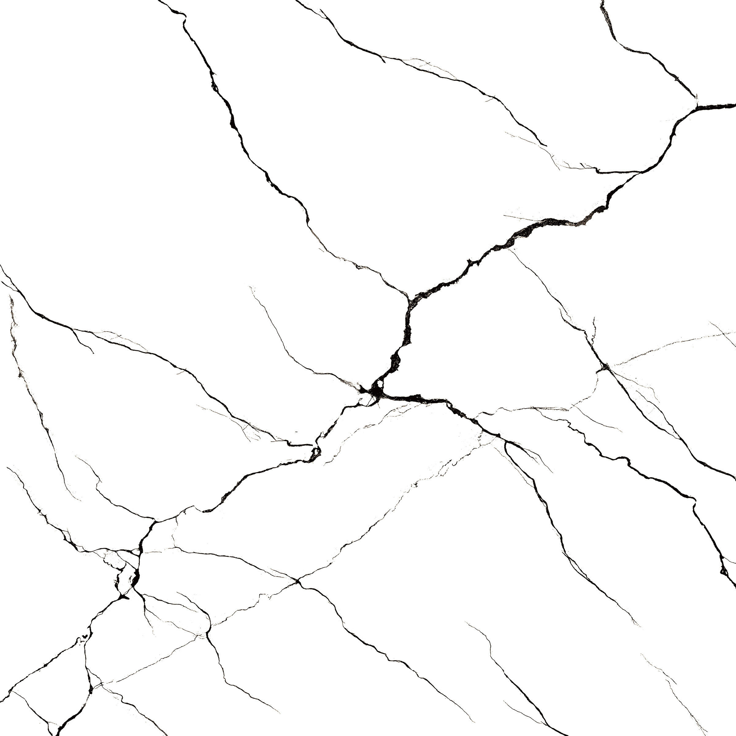 Bratvi White 1200x1200mm High Glossy Porcelain Tiles