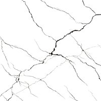 Bratvi White 1200x1200mm High Glossy Porcelain Tiles