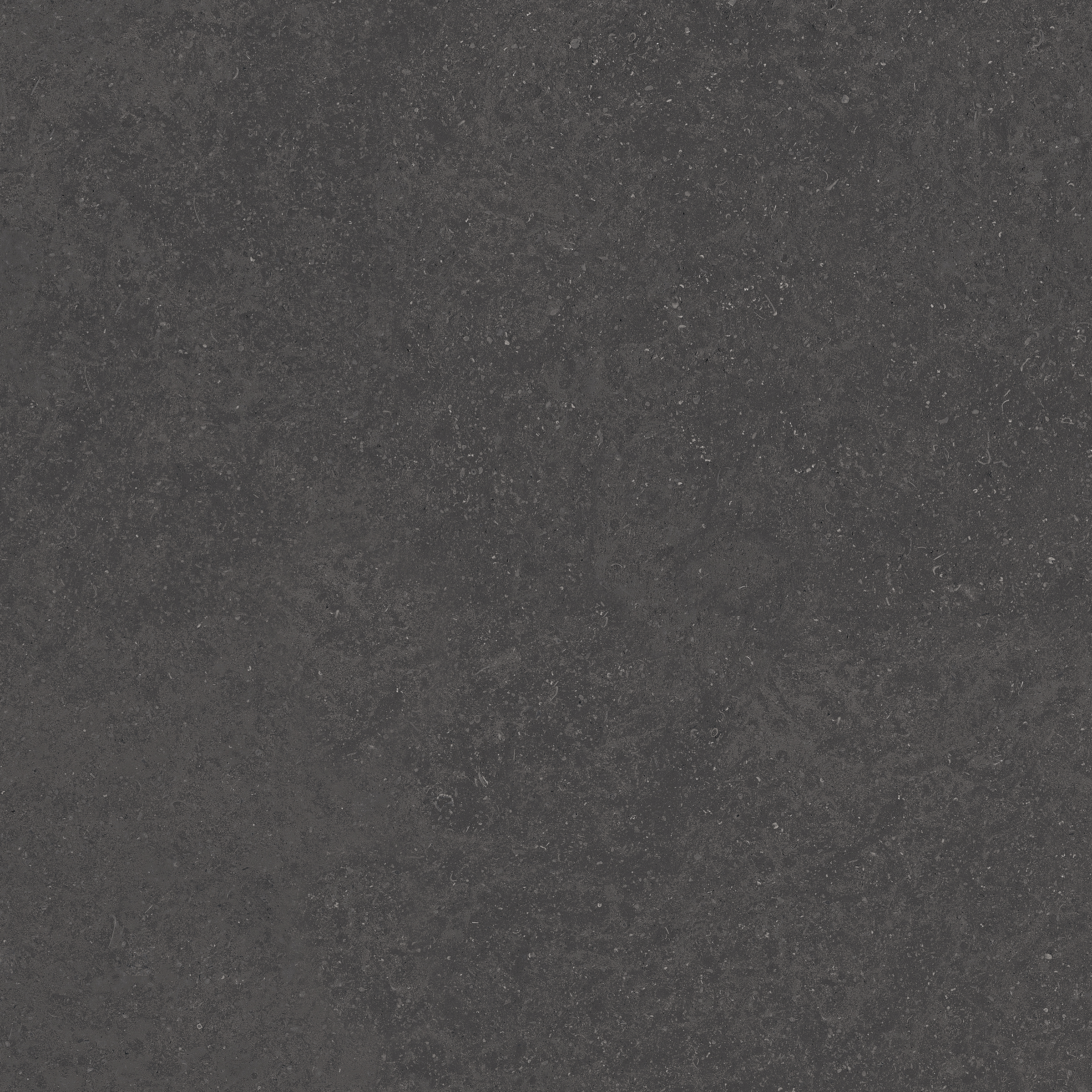 Elista Black 1200x1200mm Rustic Porcelain Tiles