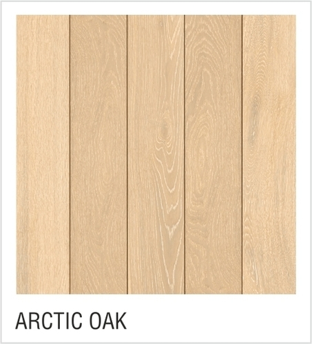 Arctic Oak