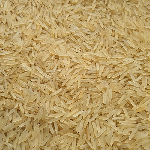 1121 Golden Rice