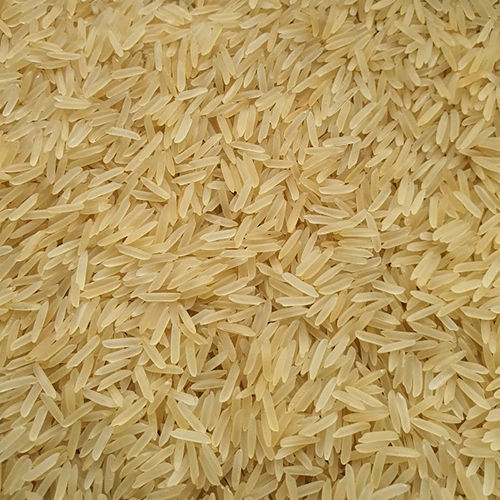 1401 Golden Rice 