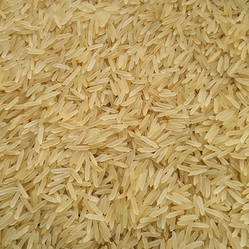 1401 Golden Rice