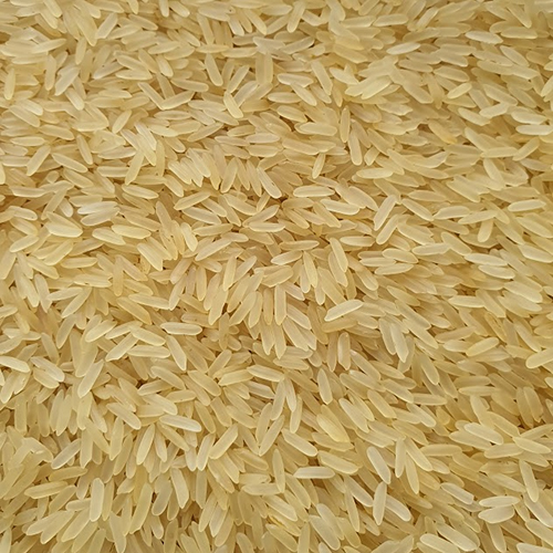 PR-11 Golden Rice