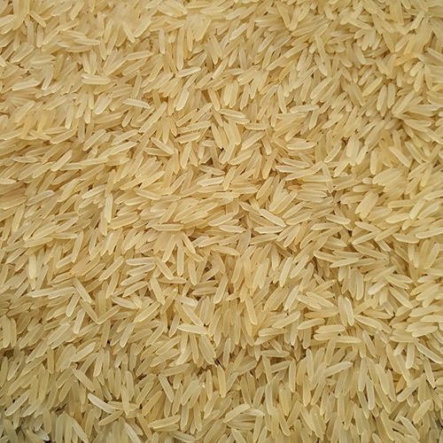 Pusa Golden Rice
