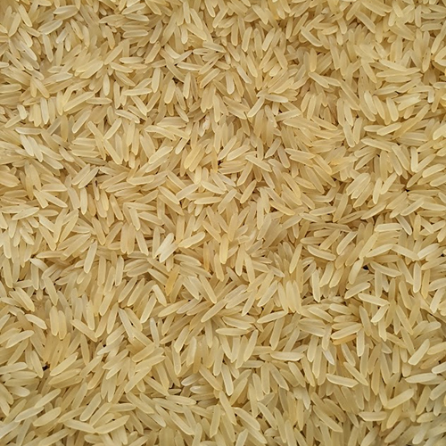 Sharbati Golden Rice