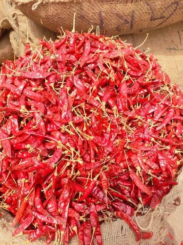 Dry red chilli