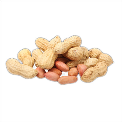 Peanut Seeds