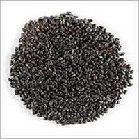 Basil Seeds