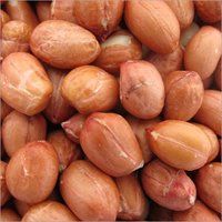 Natural Peanut Seeds