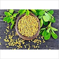 Fenugreek Seeds