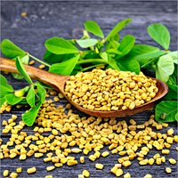 Fenugreek Seeds