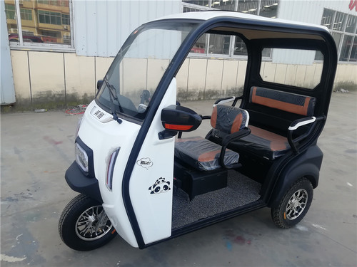 Recreational Electric Tricycle