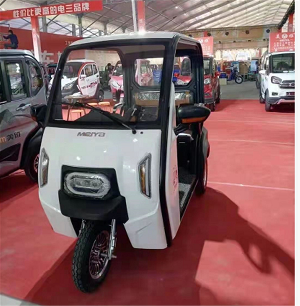 Recreational  Electric Tricycle