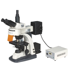 Fluorescent Research Microscope