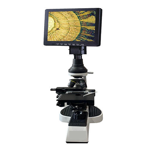 Digital Projection Microscope