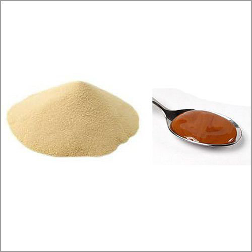 Corn Protein Hydrolysate - Dosage Form: Powder