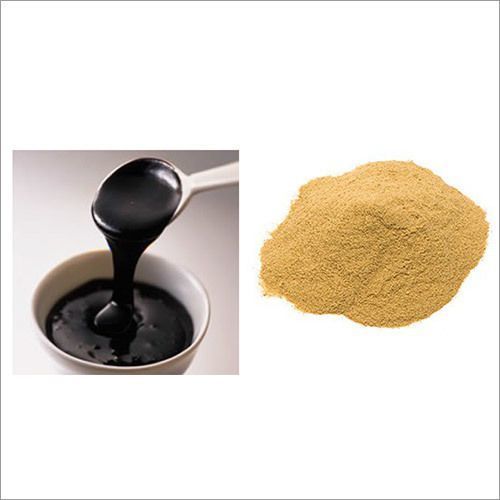 Yeast Extract Powder