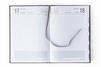 Mahavir Standard Diary 2022 - A5 Size