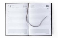 Mahavir Standard Diary - A5 Size
