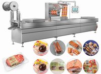 YDTM-420 Thermoformer Packing Machine