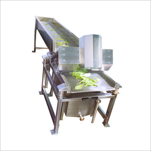 Fruits and Vegetable Washer By VK INDUSTRIES PVT. LTD.