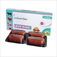 Levofloxacin Bolus