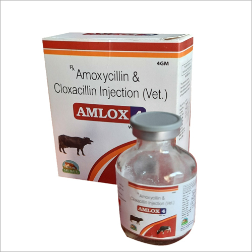 Amoxycillin and Cloxacillin Injection