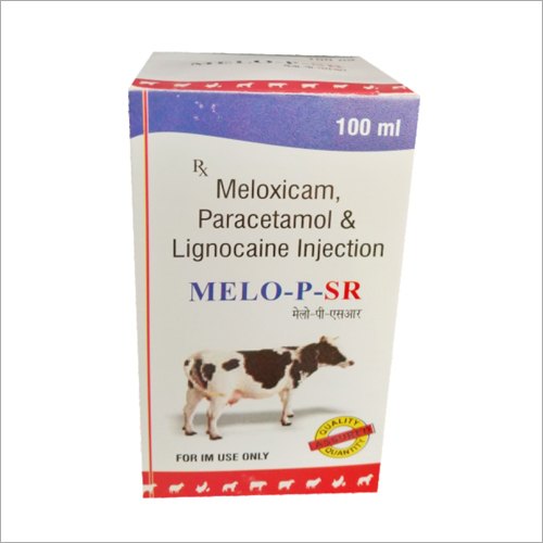 100ml Meloxicam Paracetamol and Lignocaine Injection
