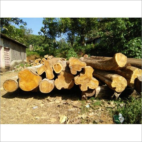 Kerala Teak Wood Logs