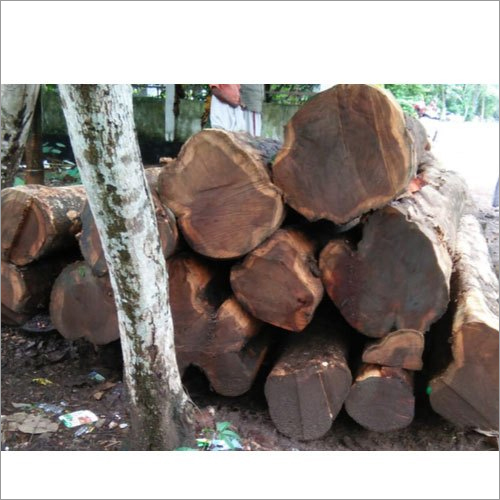 Lowest Kerala Teak Wood Log