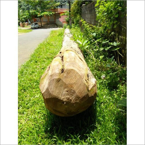 Round Teak Wood Log