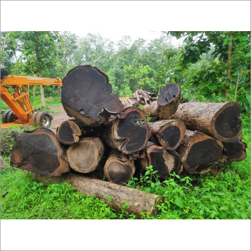 Kerala Forest Rosewood By AKN TRADERS