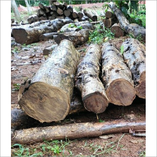 Pure Forest Teak Wood