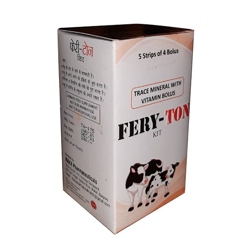 Fery Ton Kit