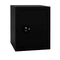 Godrej NX 40 litres Biometric Safe Locker Grey