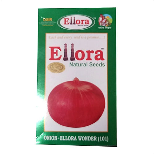 ONION ELLORA WONDER