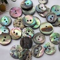 Paua Shell Buttons