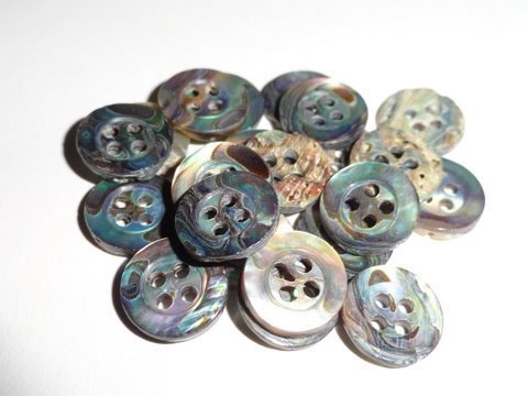 Paua Shell Buttons