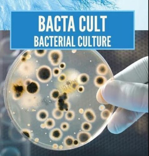 Bacterial Culture By DRASHTI CHEMICALS