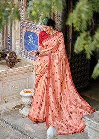 Party Wear Saree