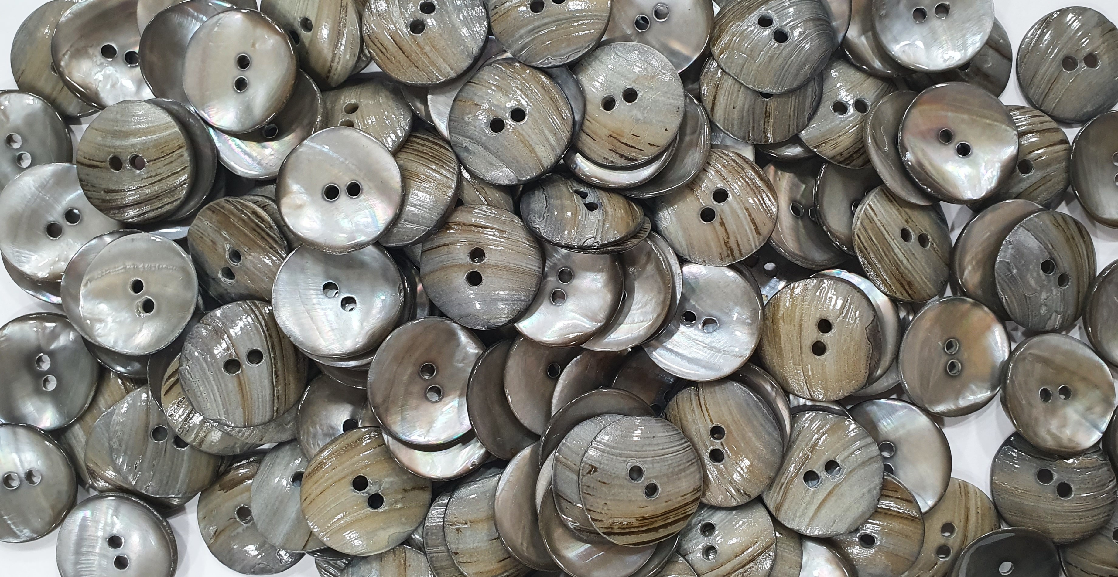 Indian River Shell Buttons