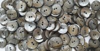 Indian River Shell Buttons