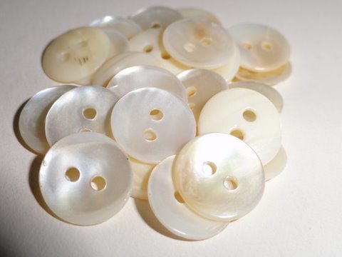 Indian River Shell Buttons