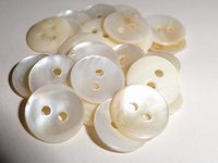 Indian River Shell Buttons