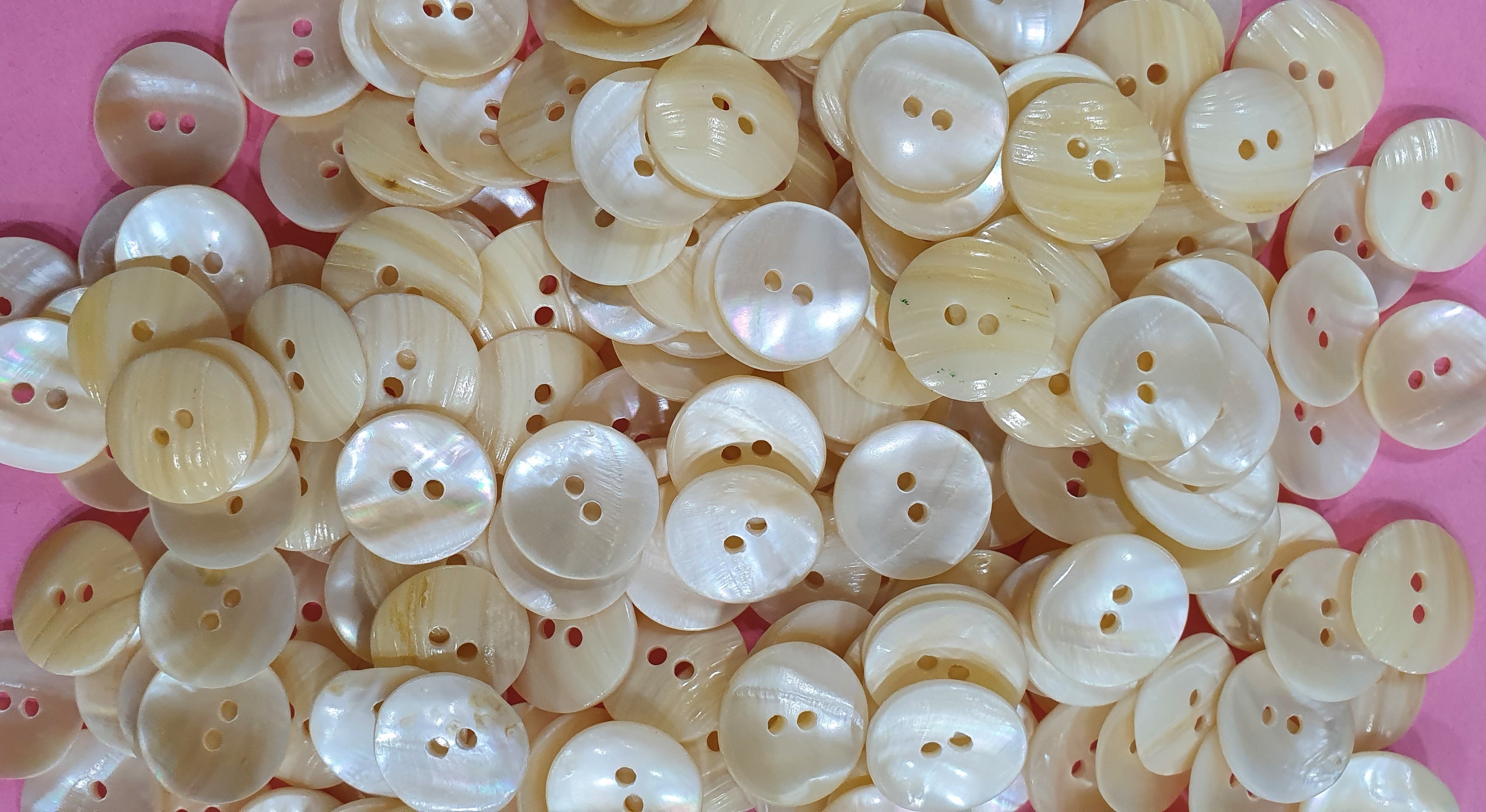 Indian River Shell Buttons