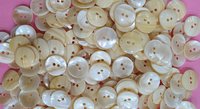 Indian River Shell Buttons