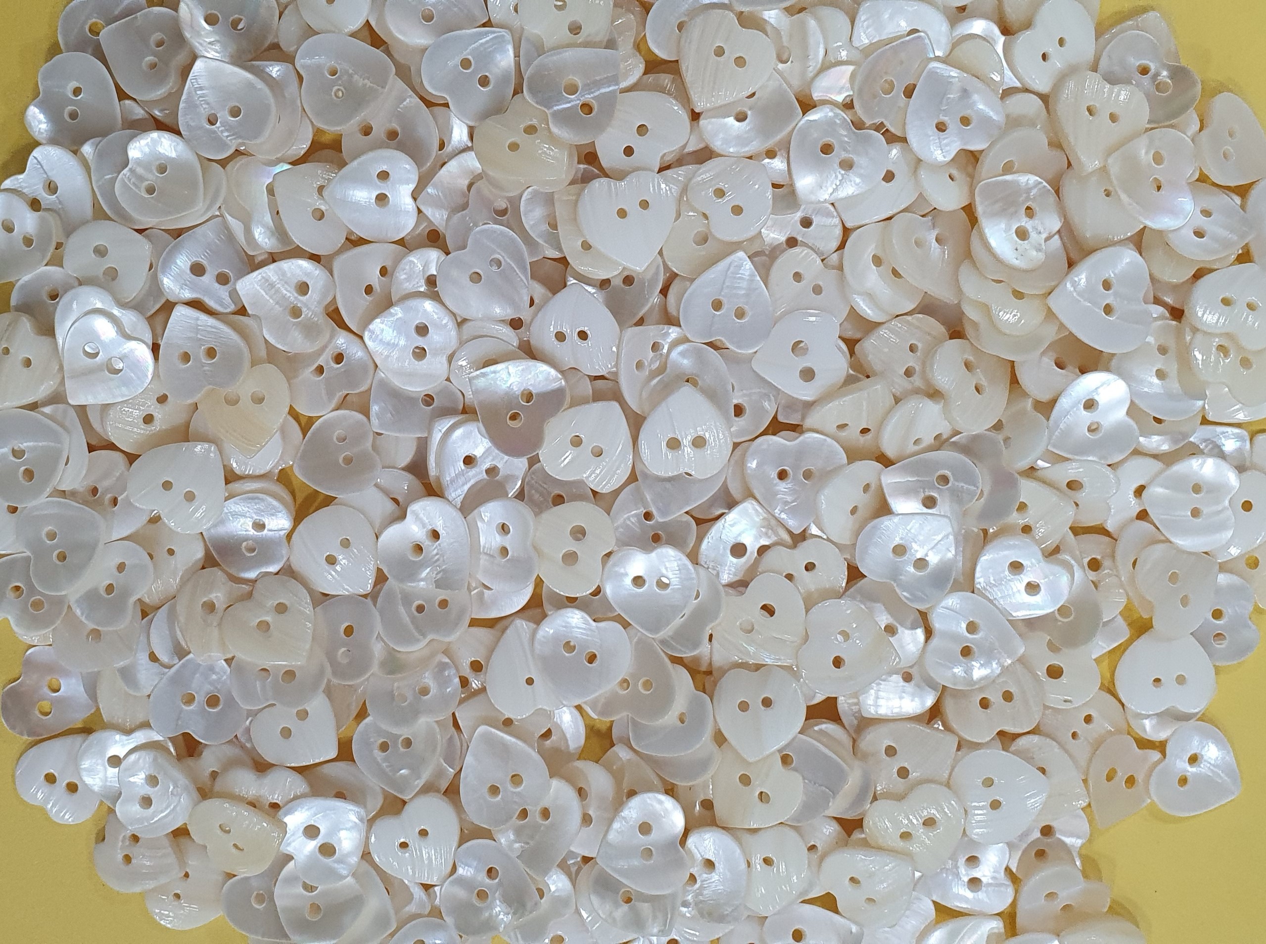Indian River Shell Buttons